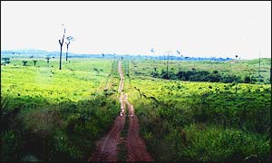 Deforestation of the Amazon