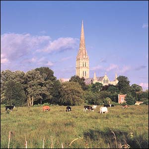 Critic Jonathan Meades described it as 'quintessentially and typically English'.