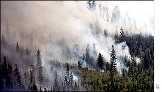 Smoke rises from California's National Sequoia Forest