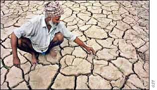 Punjabi farmer examines parched field