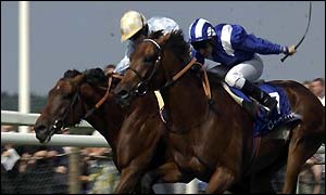 Golan just edges out Nayef at Ascot