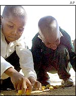Boys picking wild fruit