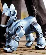 Robot dog, PA