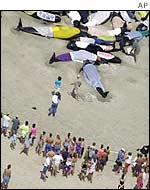 Crowds gather to watch the rescuers on Chapin Beach