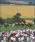 Goodwood racecourse