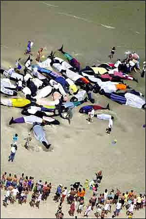 Cape Cod, off the coast of Massachusetts 