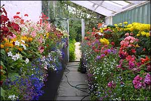 Greenhouse, Castle of Mey