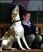 A young hunt supporter outside the court