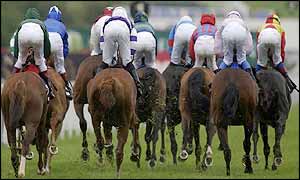 The race was tight as Lord Jim made the early running before Hugs Dancer burst free to win this race for the second year running