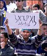 An Egyptian student brandishes a sign saying 
