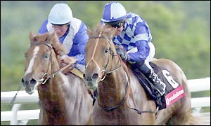 Where and When wins ahead of third placed favourite L'Oiseau d'Argent 