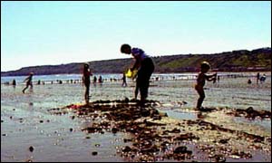 Families on beach