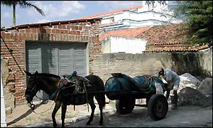 donkey delivers water