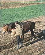 A Romanian farmer with horse and plough