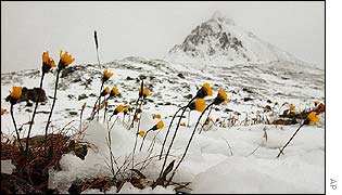 Nufenen pass, southern Switzerland