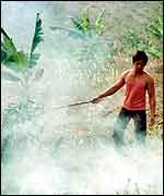 Man and burning forest AP