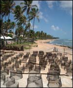 A sea turtle hatchery at Praia Do Forte, Brazil