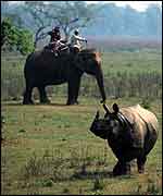 Elephant and rhino in Nepal � WWF-Canon/Michel Gunther