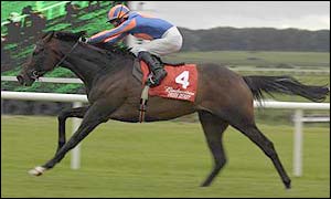 High Chaparral is one of the horses affected by the coughing outbreak