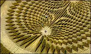 People in crop circle, Circlemakers photo