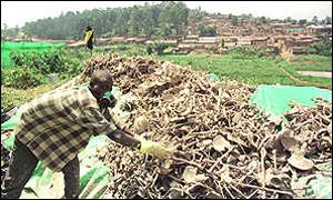 Man clearing up the victims' bones 