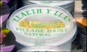 Village Dairy products