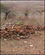 Swazi graves
