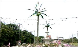 The fake plastic trees