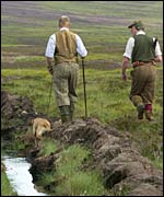 On the grouse moor