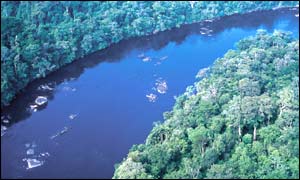 Jari river (WWF-Brazil)