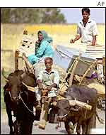 Refugees flee border exchanges of fire