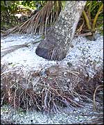 Erosion damage on Tuvalu