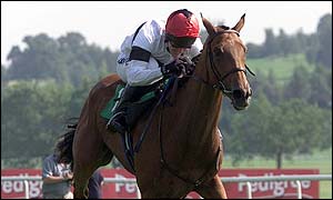 Tony McCoy rides to his record victory on Mighty Montefalco