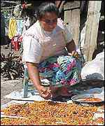 Sorting dry chillies
