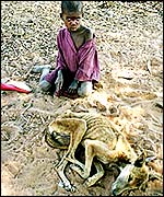 A child and his dog (Photo: IFRC)