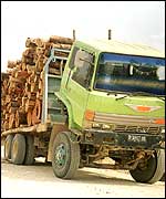 Logging truck