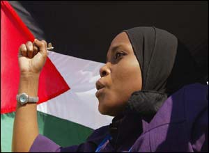 Pro-Palestinian demonstrator ( photograph courtesy of AP)