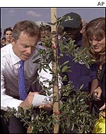 Tony Blair plants a tree in Alexandra
