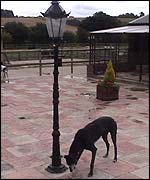 Sniffing out a lampost