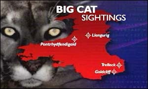 Big cat sightings Wales map