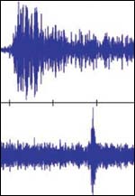 Coupled waves in the water and sea bed