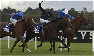 Grandera (left) beat Hawk Wing (centre) and Best of the Bests (right) 
