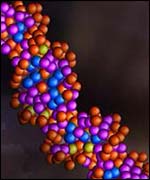 Model of a human DNA strand