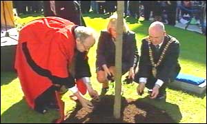 A memorial tree was planted at Belfast City Hall