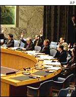 United Nations Security Council meeting