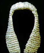 A judge's wig
