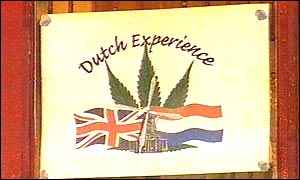 Dutch Experience cafe