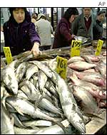 Fish market in New York