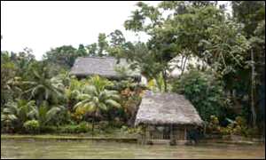 Maya indians who live along the Rio Dulce go down with malaria and other insects-borne diseases.
