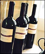 Catena wine
